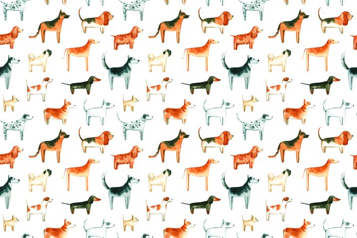 Papier peint  Chiens de race sur fond blanc