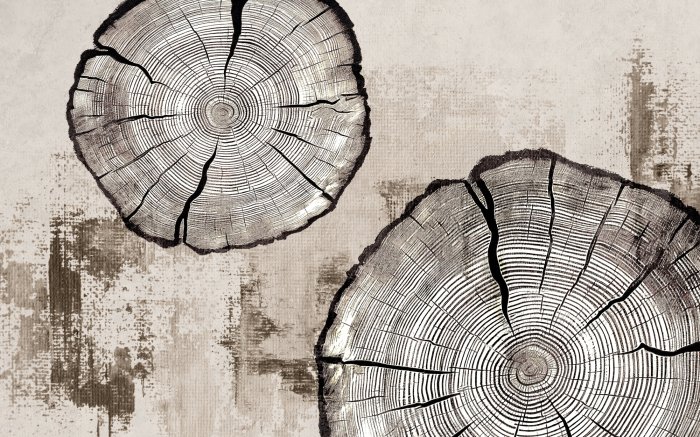 Papier peint  Cernes du tronc d'arbre sur texture beige