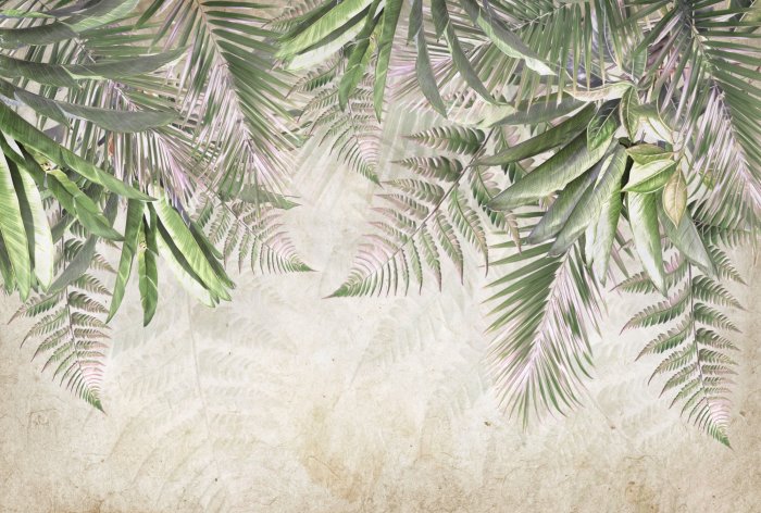 Papier peint  Feuilles tropicales de palmier et de fougère suspendues du haut sur fond en béton