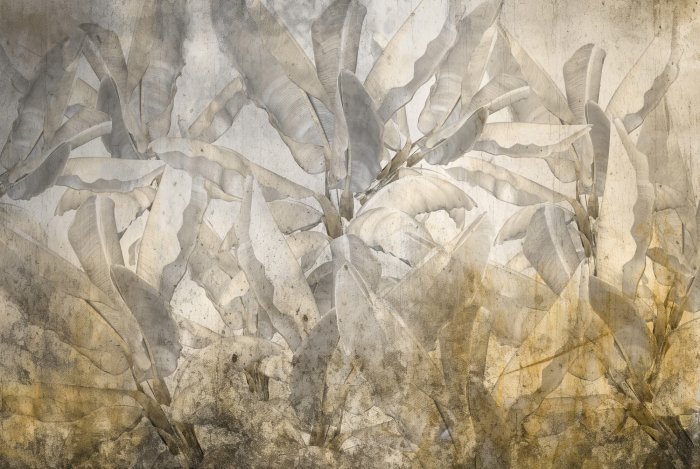 Papier peint  Plantes de bananier tropical sur fond en béton