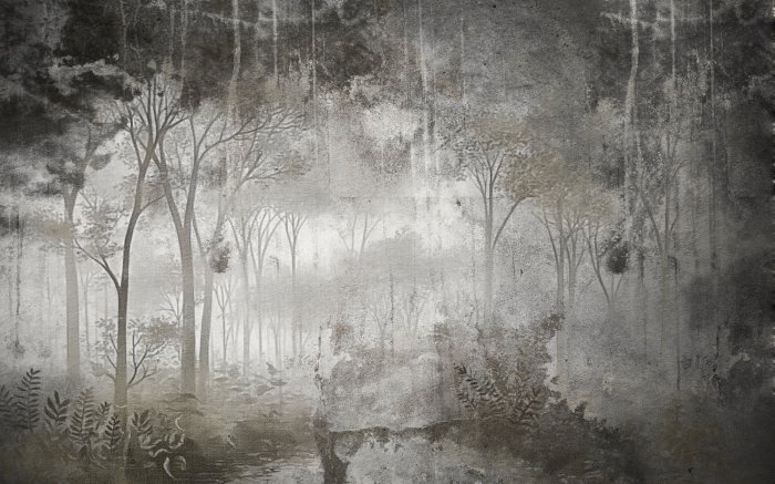 Papier peint  Paysage mystérieux d'une forêt dense