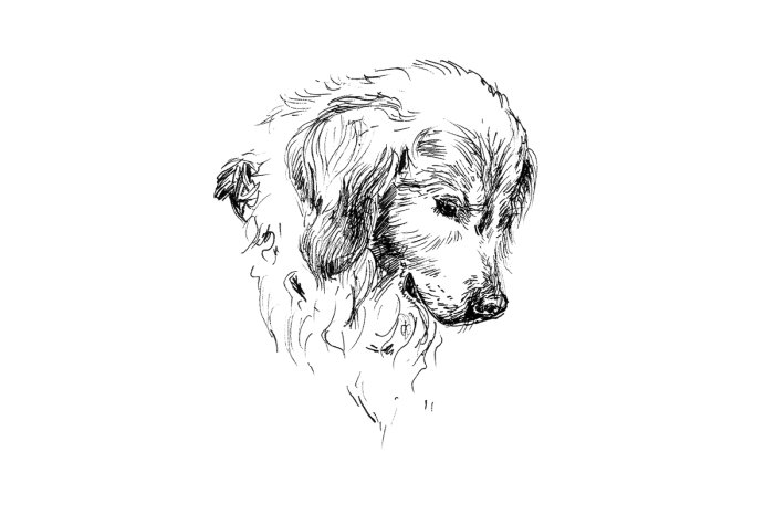 Papier peint  Portrait noir et blanc de chien style croquis