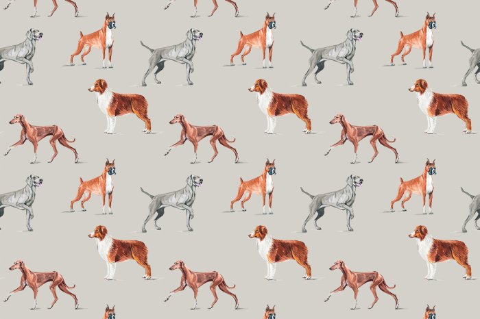 Papier peint  Chiens majestueux illustration aquarelle sur fond gris