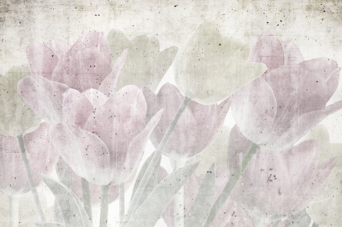 Papier peint  Bouquet peint de tulipes délicates