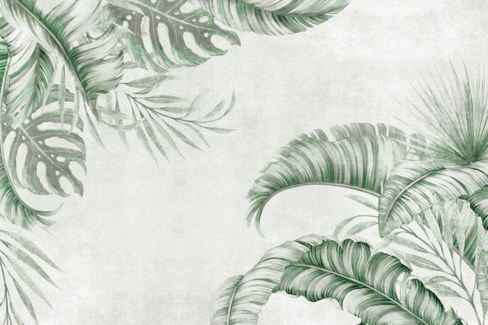 Papier peint  Feuilles vertes de palmier et de monstera