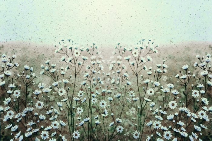 Papier peint  Pré peint avec des fleurs de marguerite