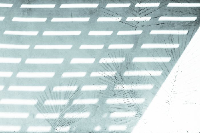 Papier peint  Reflet de palmiers sur fond blanc avec ombre