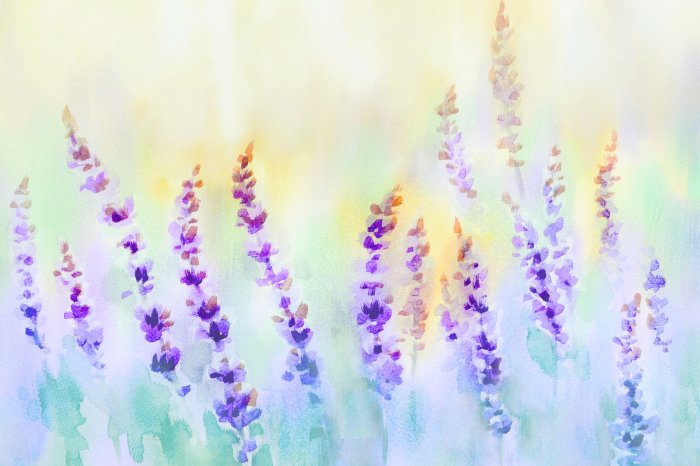 Papier peint  Prairie peinte en pastel avec des fleurs de lavande