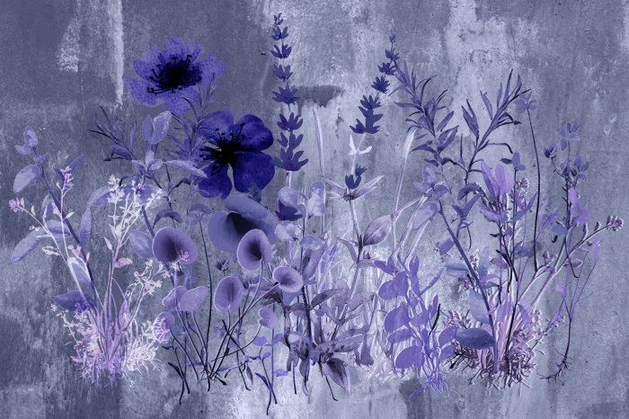 Papier peint  Fleurs sauvages de la prairie sur un mur en béton