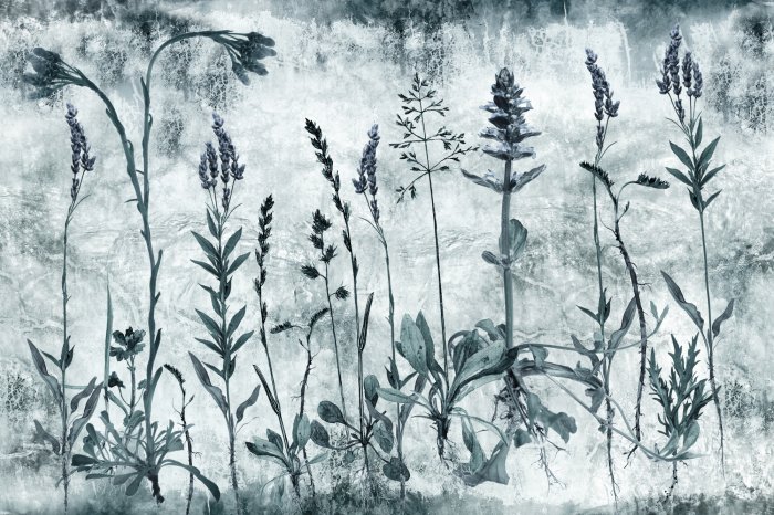 Papier peint  Fleurs sauvages dans une prairie avec de la lavande