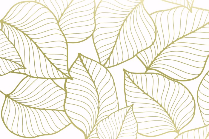 Papier peint  Croquis doré de feuilles sur fond blanc