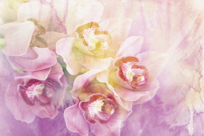 Papier peint  Orchidée peinte en tons roses