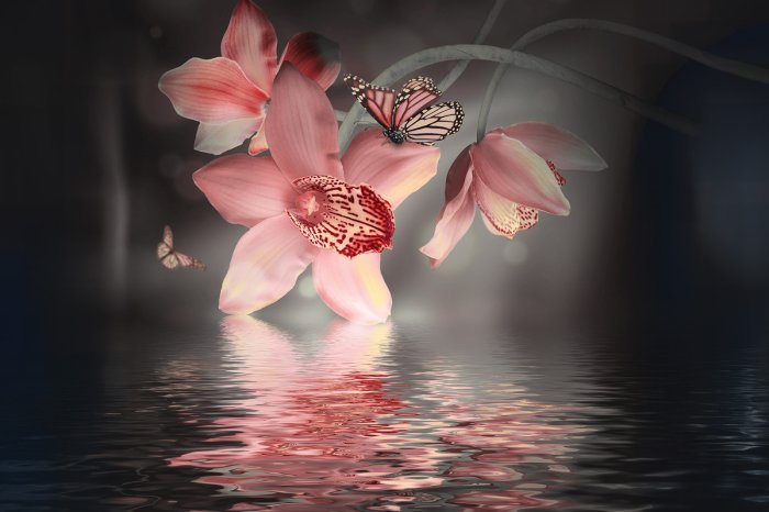 Papier peint  Orchidée avec un papillon sur fond d'eau