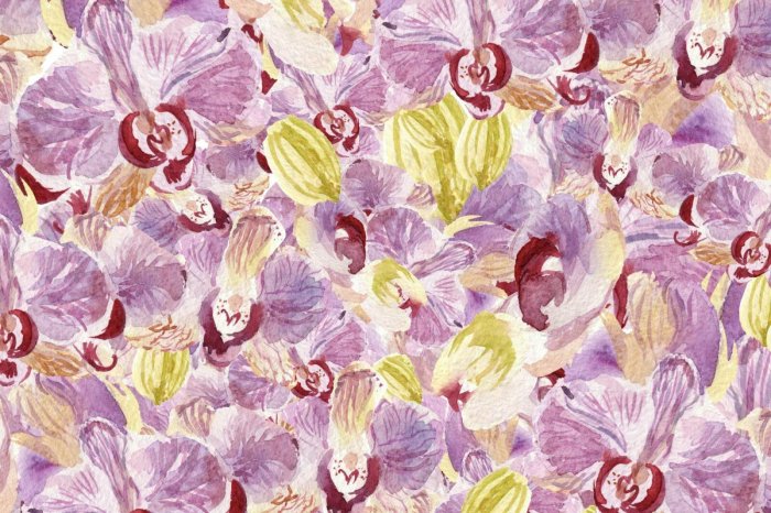 Papier peint  Fleurs d'orchidée peintes