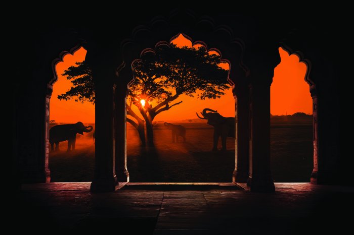 Papier peint  Vue d’arcs sur fond d’Afrique avec des éléphants