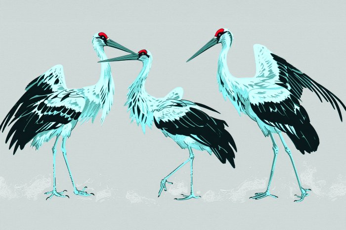 Papier peint  Grues japonaises