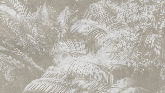 Papier peint  Reflet des feuilles de palmier sur béton beige