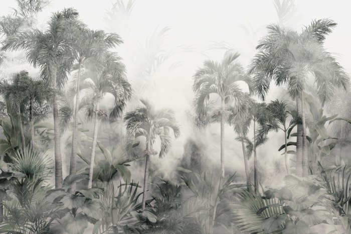 Papier peint  Jungle dans le brouillard paysage tropical