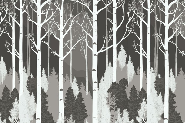 Papier peint  Forêt en noir et blanc avec des bouleaux