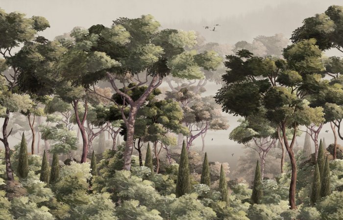 Papier peint  Paysage naturel avec arbres et brume légère