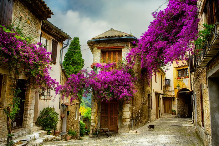 Papier peint  Allée colorée avec bougainvillier dans une ville historique