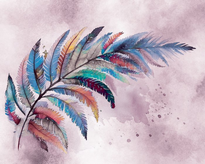 Papier peint  Plume délicate et colorée sur fond aquarelle