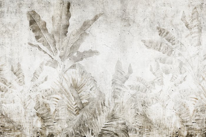 Papier peint  Feuilles de bananier sur un mur en béton dans un style urban jungle