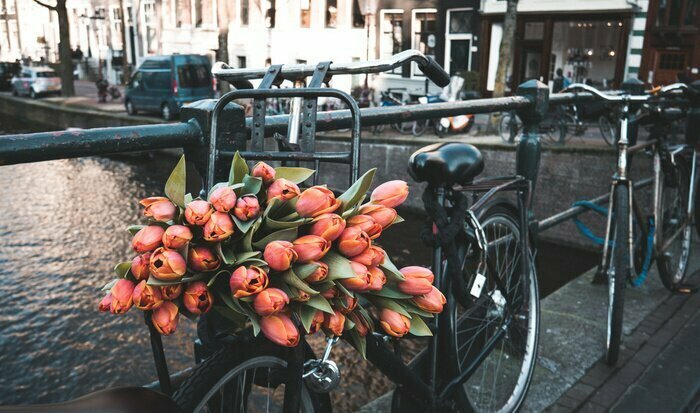 Papier peint  Vélo avec des tulipes