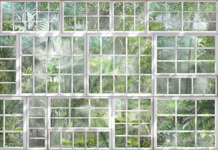 Papier peint  Vue 3D sur une jungle tropicale à travers une fenêtre