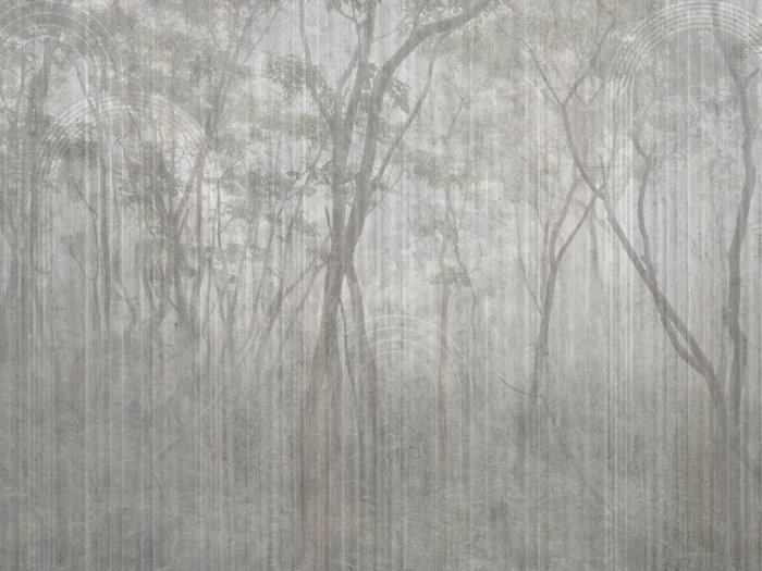 Papier peint  Paysage brumeux d'arbres dans le parc