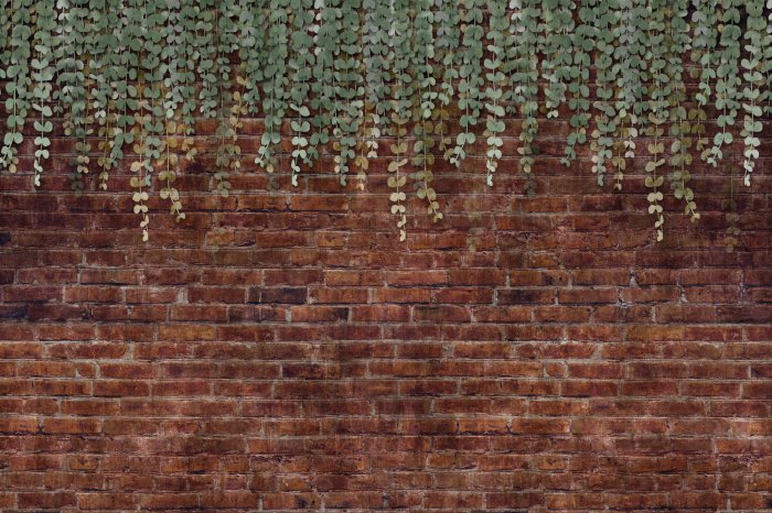 Papier peint  Plantes vertes suspendues devant un mur de briques