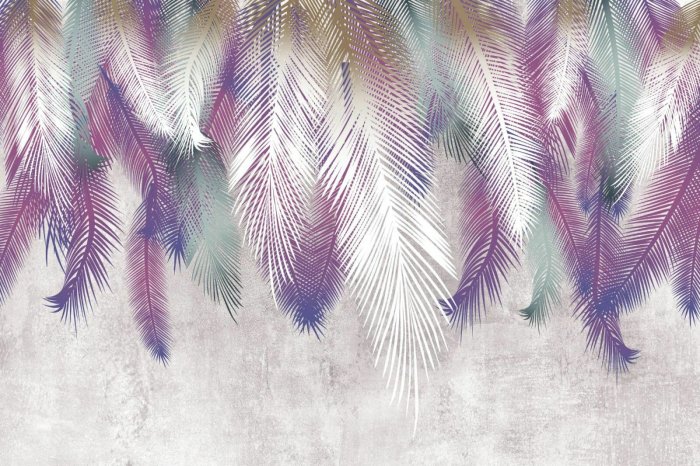 Papier peint  Plumes colorées sur un mur en béton