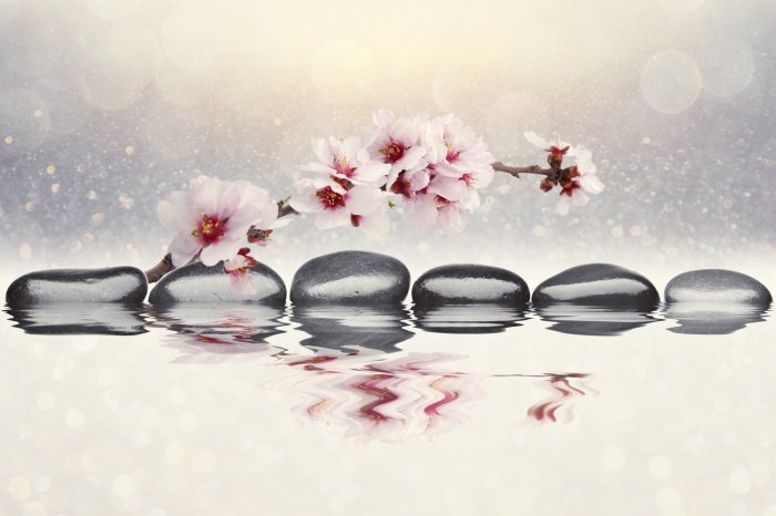 Papier peint  Orchidée rose et pierres zen se reflétant dans l'eau