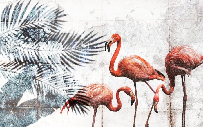 Papier peint  Flamants roses et feuilles tropicales sur un fond en béton