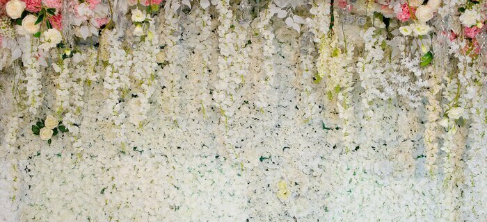 Papier peint  Mur orné de fleurs blanches