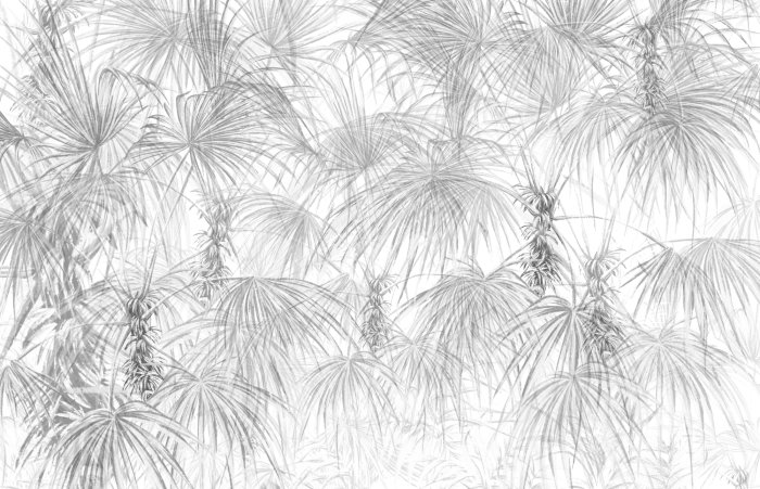 Papier peint  Arbres de palmiers avec des feuilles tropicales grises sur fond blanc