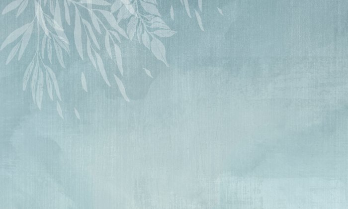 Papier peint  Feuilles sur un fond de texture bleue Modèle minimaliste