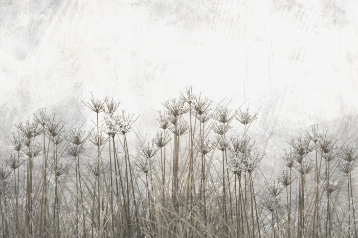 Papier peint  Fleurs Sauvages et Plantes dans un Style Loft Industriel
