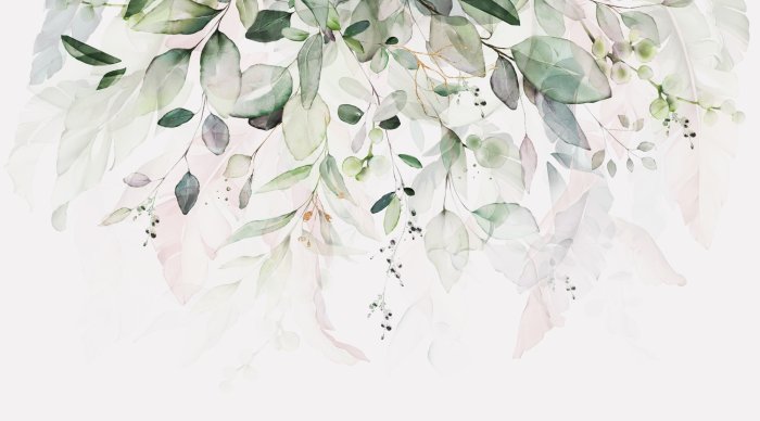 Papier peint  Branches et Feuilles en Aquarelle sur Fond Blanc