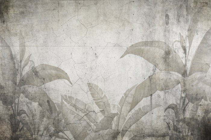 Papier peint  Feuilles de Plantes Tropicales sur Fond en Béton