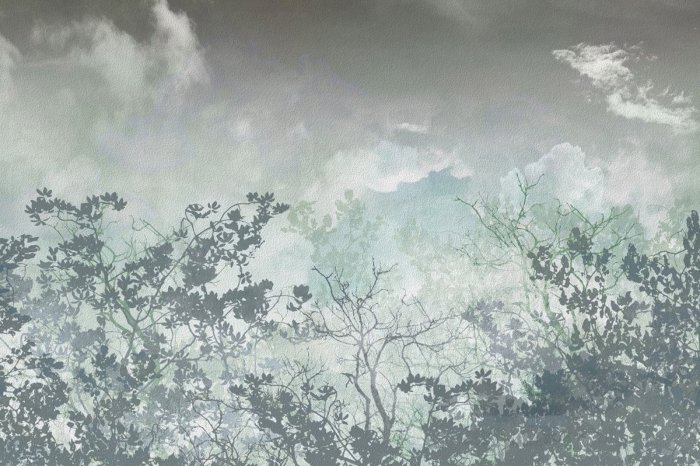 Papier peint  Silhouettes d'arbres sur un fond aquarelle