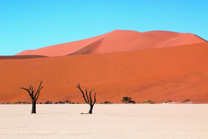 Papier peint  Arbres du désert sur fond de collines