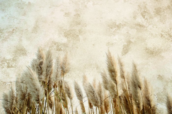 Papier peint  Herbes d'automne sur un mur beige