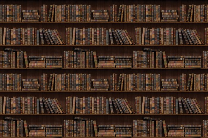Papier peint  Étagères avec des livres dans la bibliothèque