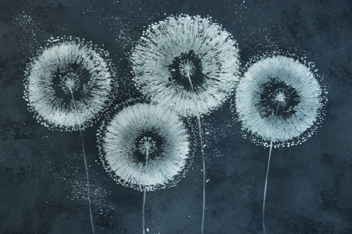 Papier peint  Pissenlits blancs peints sur le mur