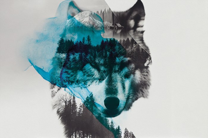 Papier peint  Imitation d’un loup dans un décor forestier