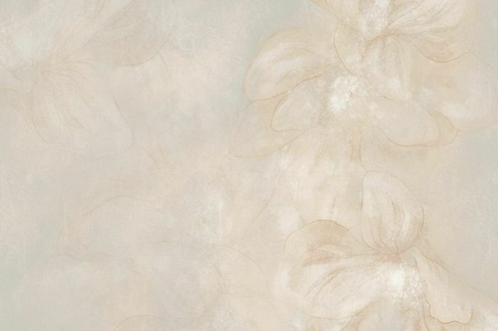 Papier peint  Petali delicati di fiori su una parete beige