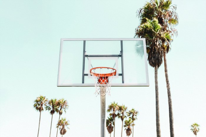 Papier peint  Panier de basket sur fond de palmiers