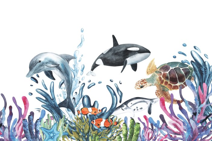 Papier peint  Dauphin et tortue de mer parmi le récif sur fond blanc