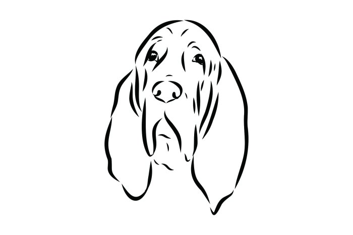 Papier peint  Dessin en noir et blanc d’un chien